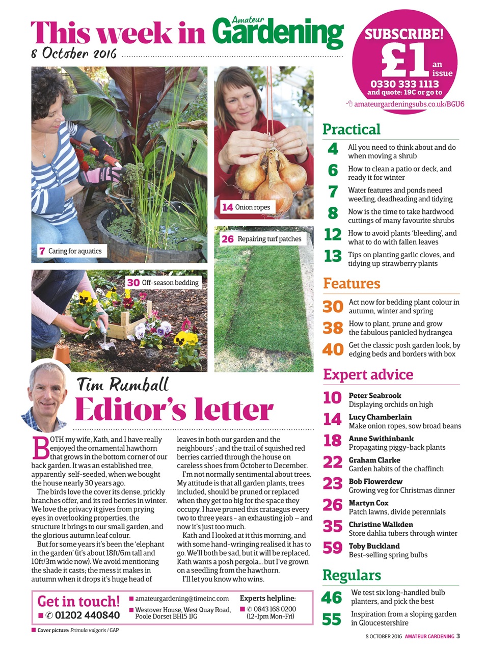 Amateur Gardening Preview Pages
