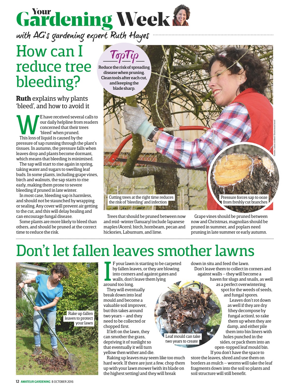 Amateur Gardening Preview Pages