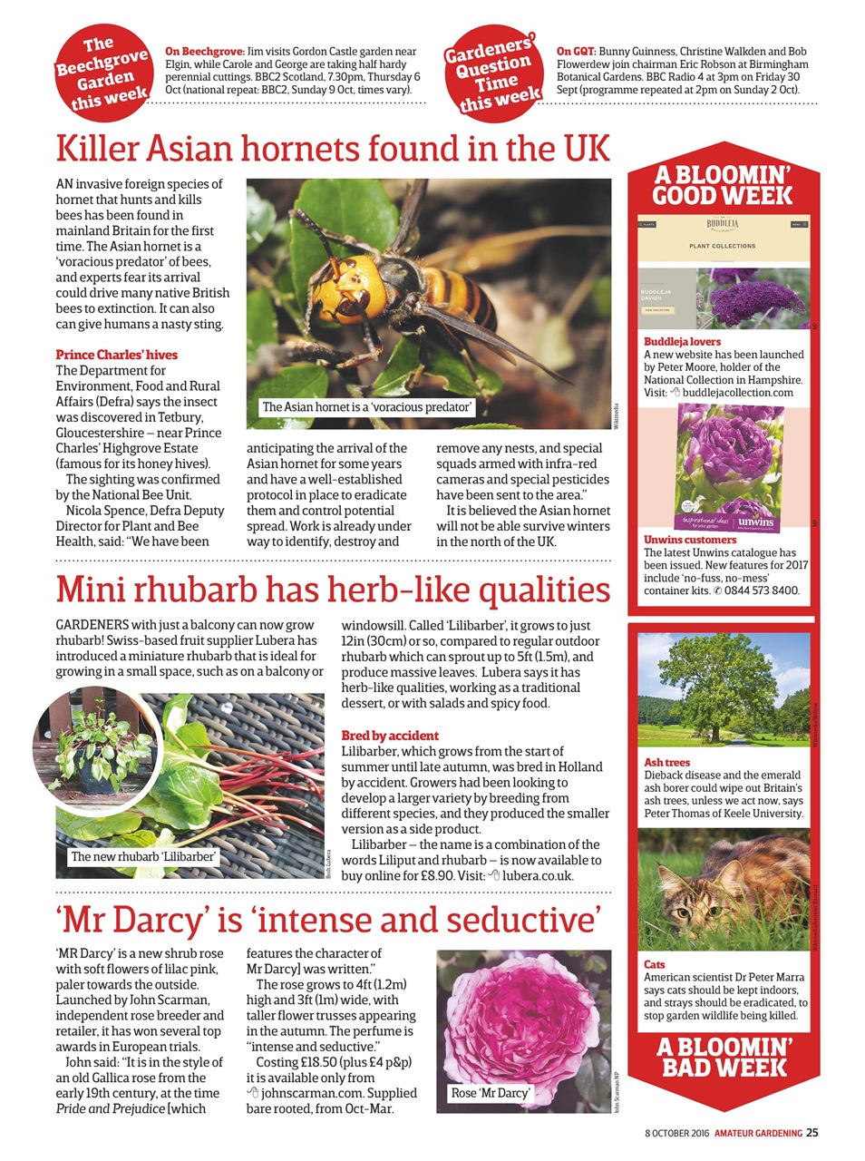 Amateur Gardening Preview Pages
