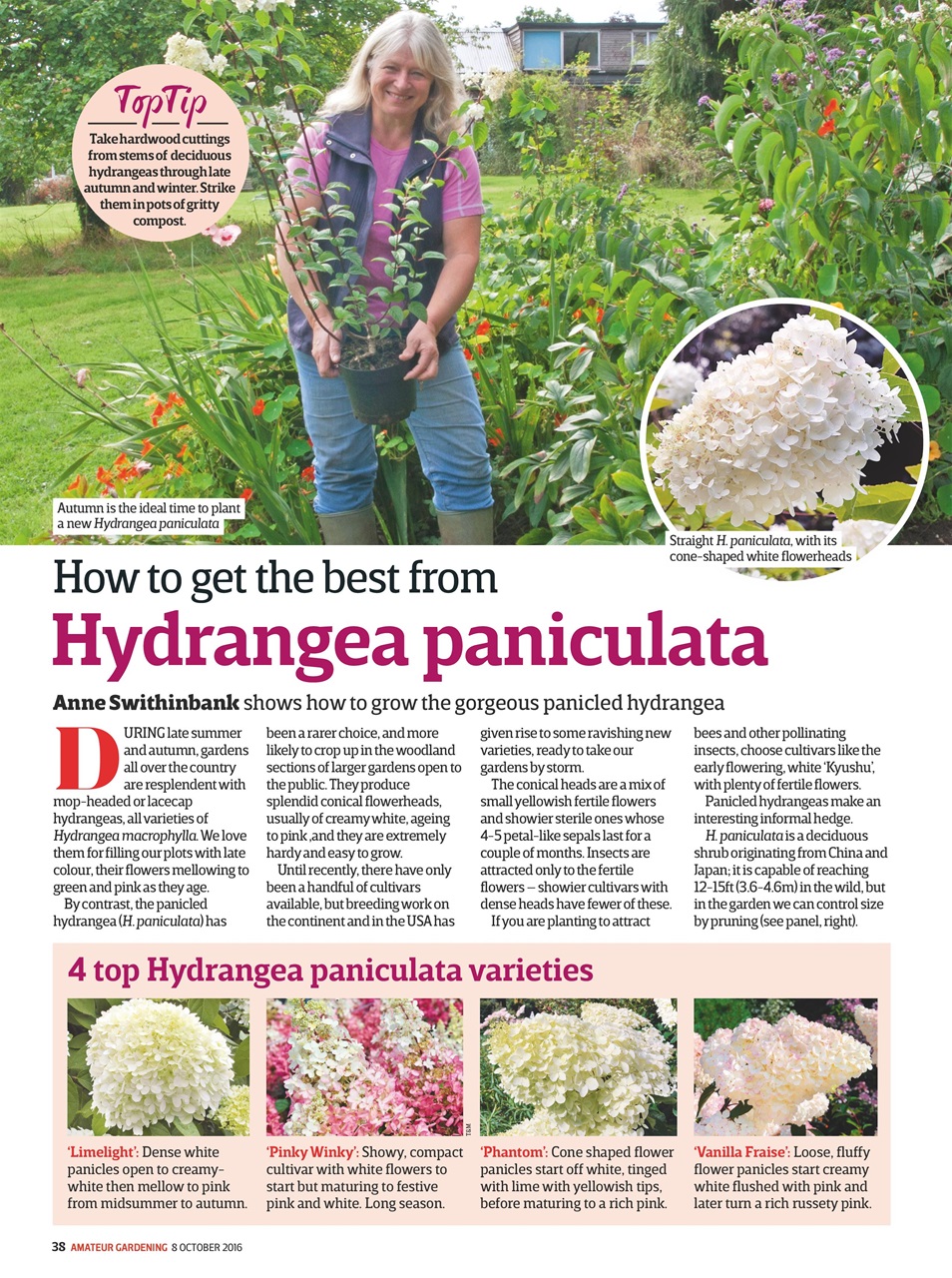 Amateur Gardening Preview Pages