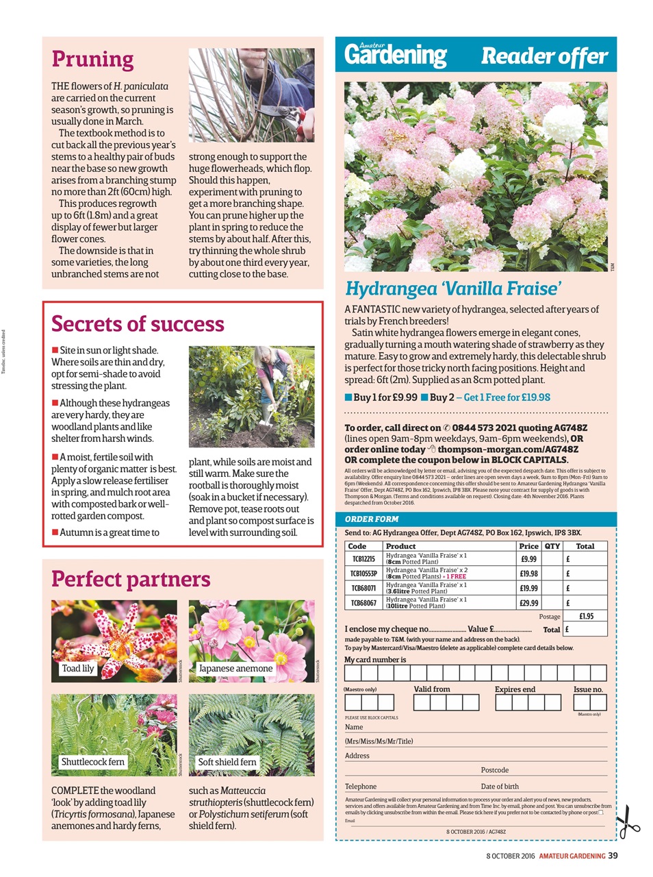 Amateur Gardening Preview Pages