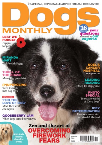 Dogs Monthly issue November 2016