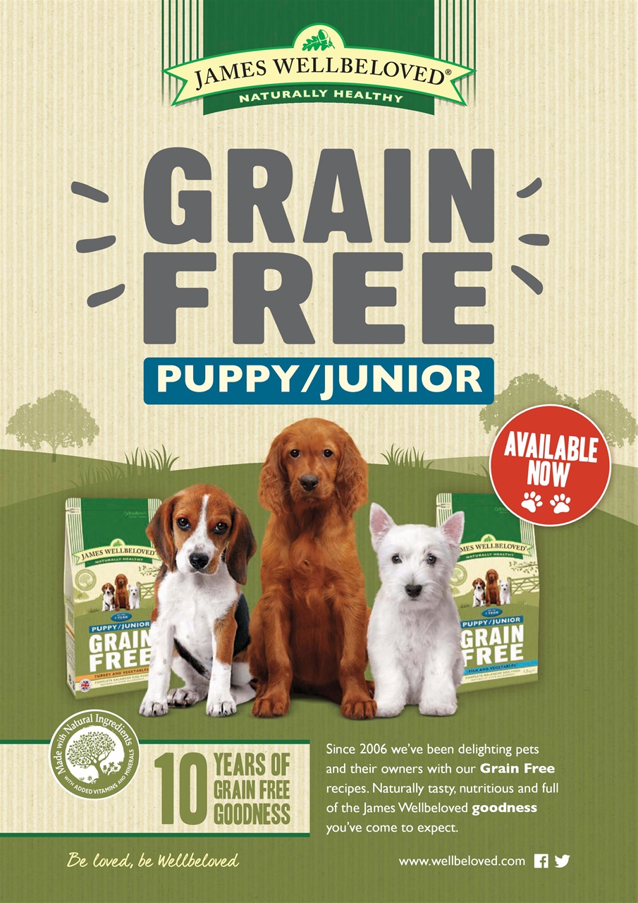 Dogs Monthly Preview Pages