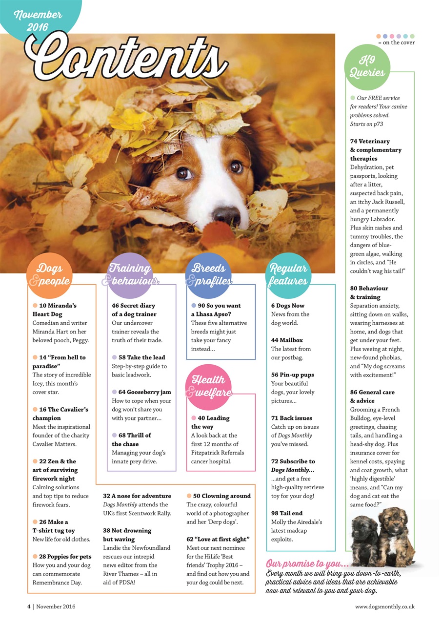 Dogs Monthly Preview Pages