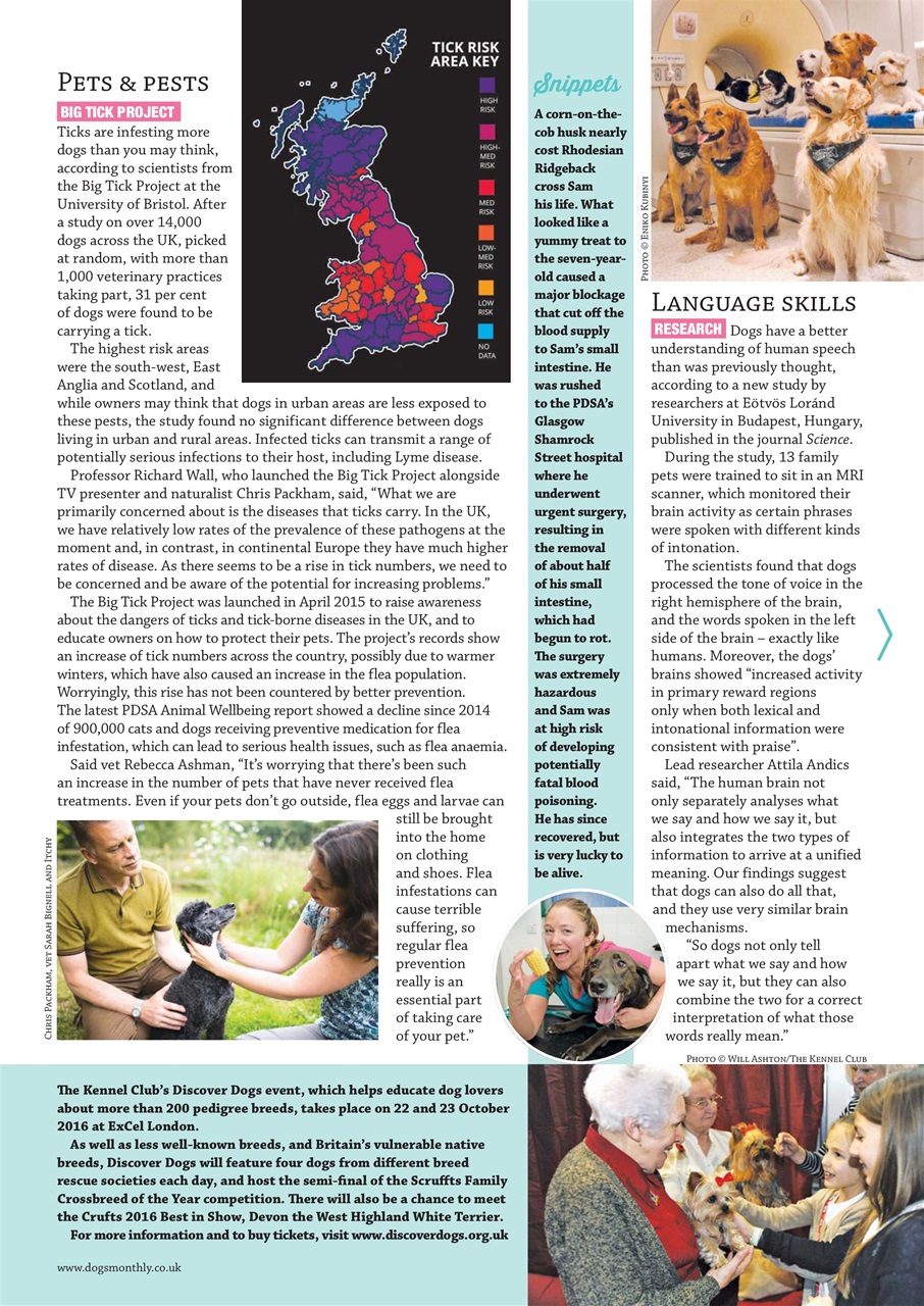 Dogs Monthly Preview Pages