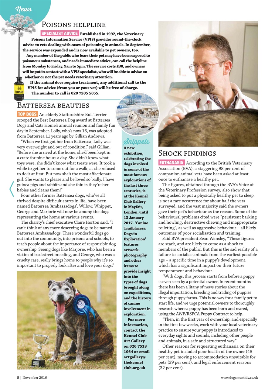Dogs Monthly Preview Pages