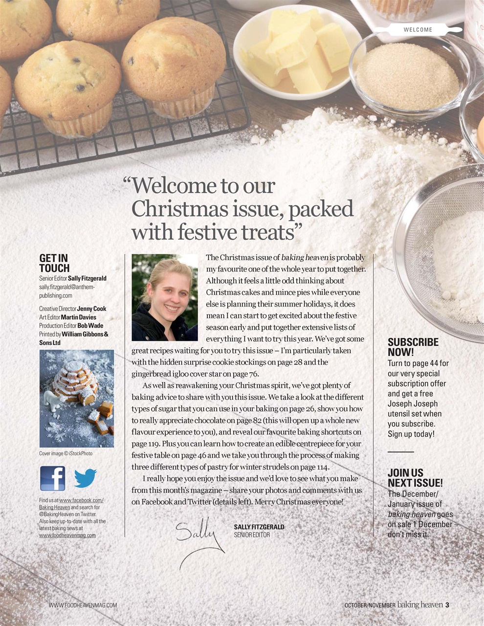 Cupcake Heaven Preview Pages