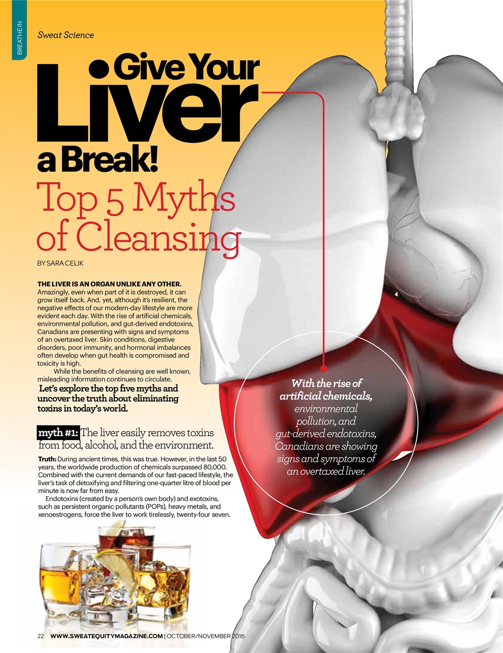 Sweat Equity Preview Pages