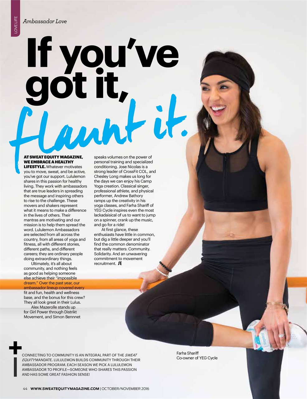 Sweat Equity Preview Pages