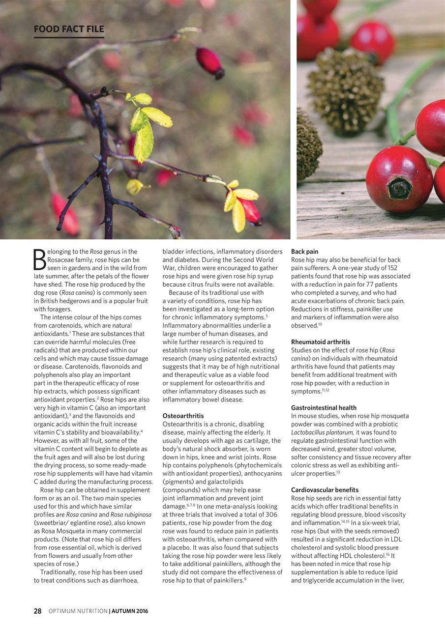Optimum Nutrition Preview Pages