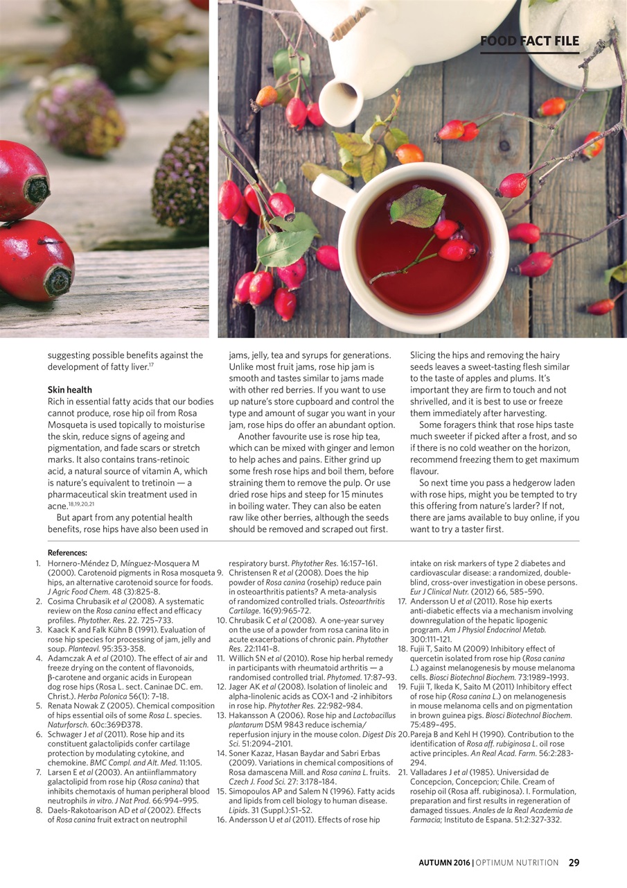 Optimum Nutrition Preview Pages