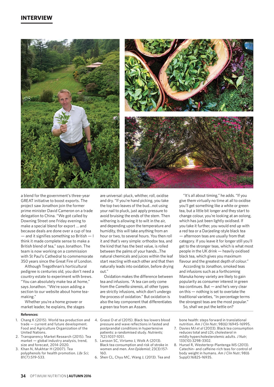 Optimum Nutrition Preview Pages