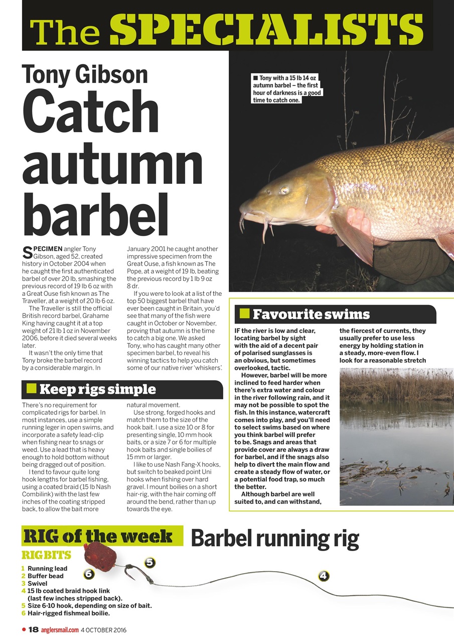 Anglers Mail Preview Pages