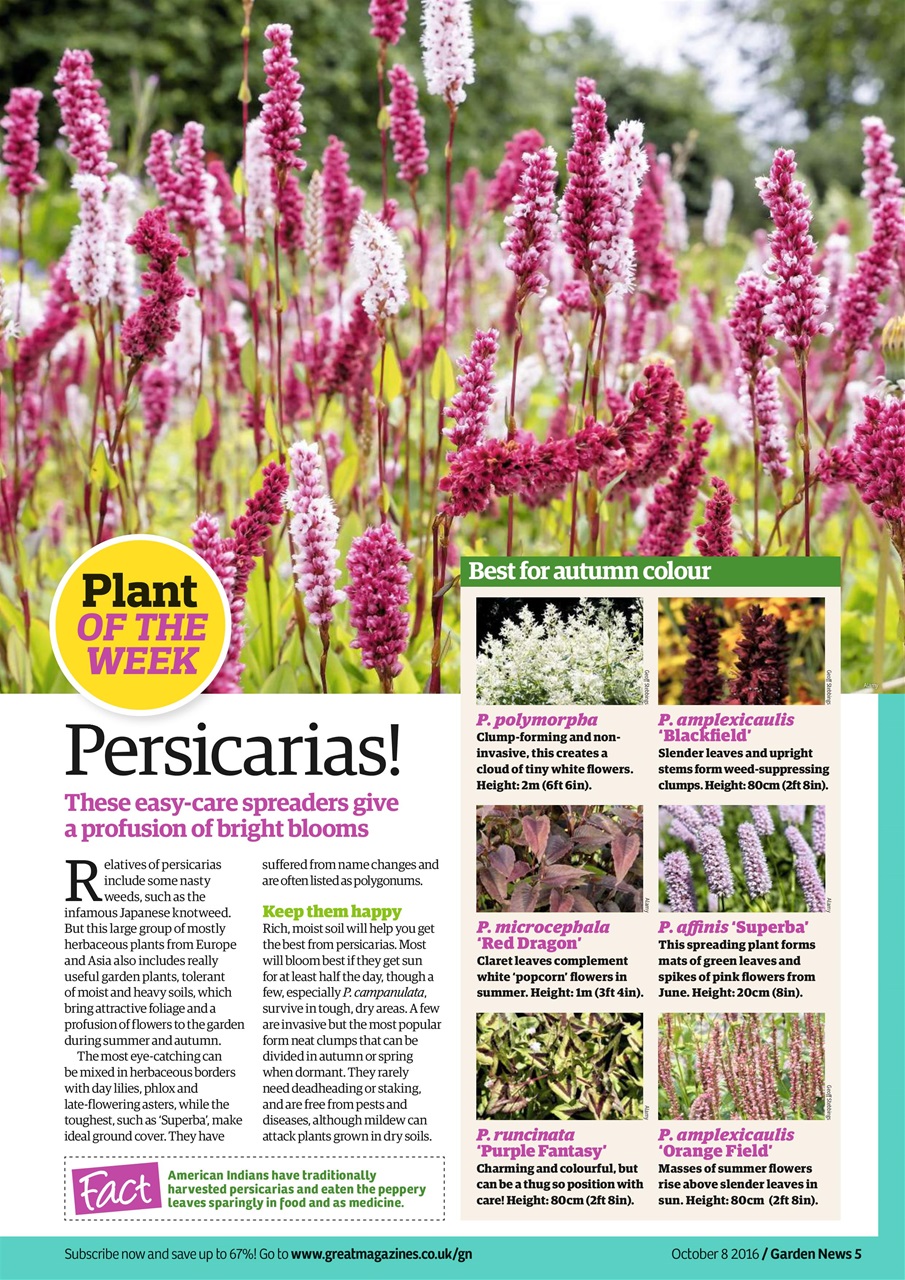 Garden News Preview Pages