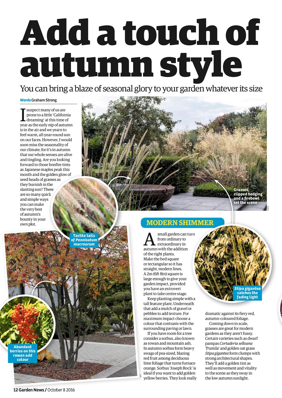 Garden News Preview Pages