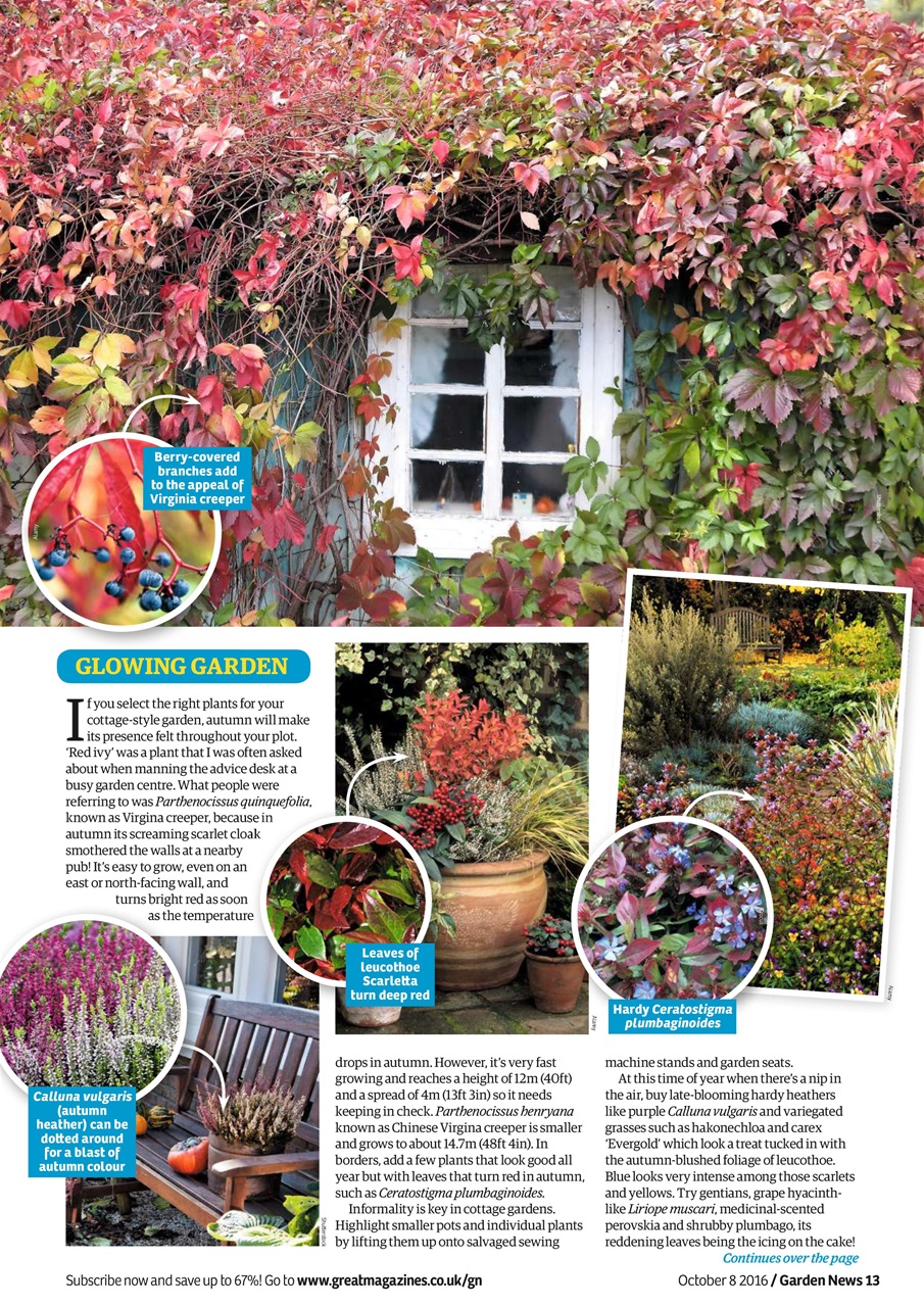 Garden News Preview Pages