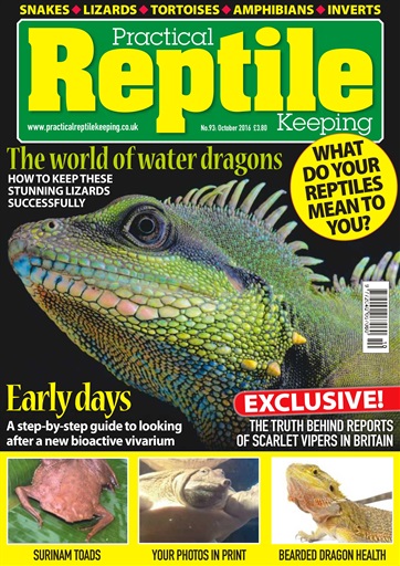 Practical Reptile Keeping issue 