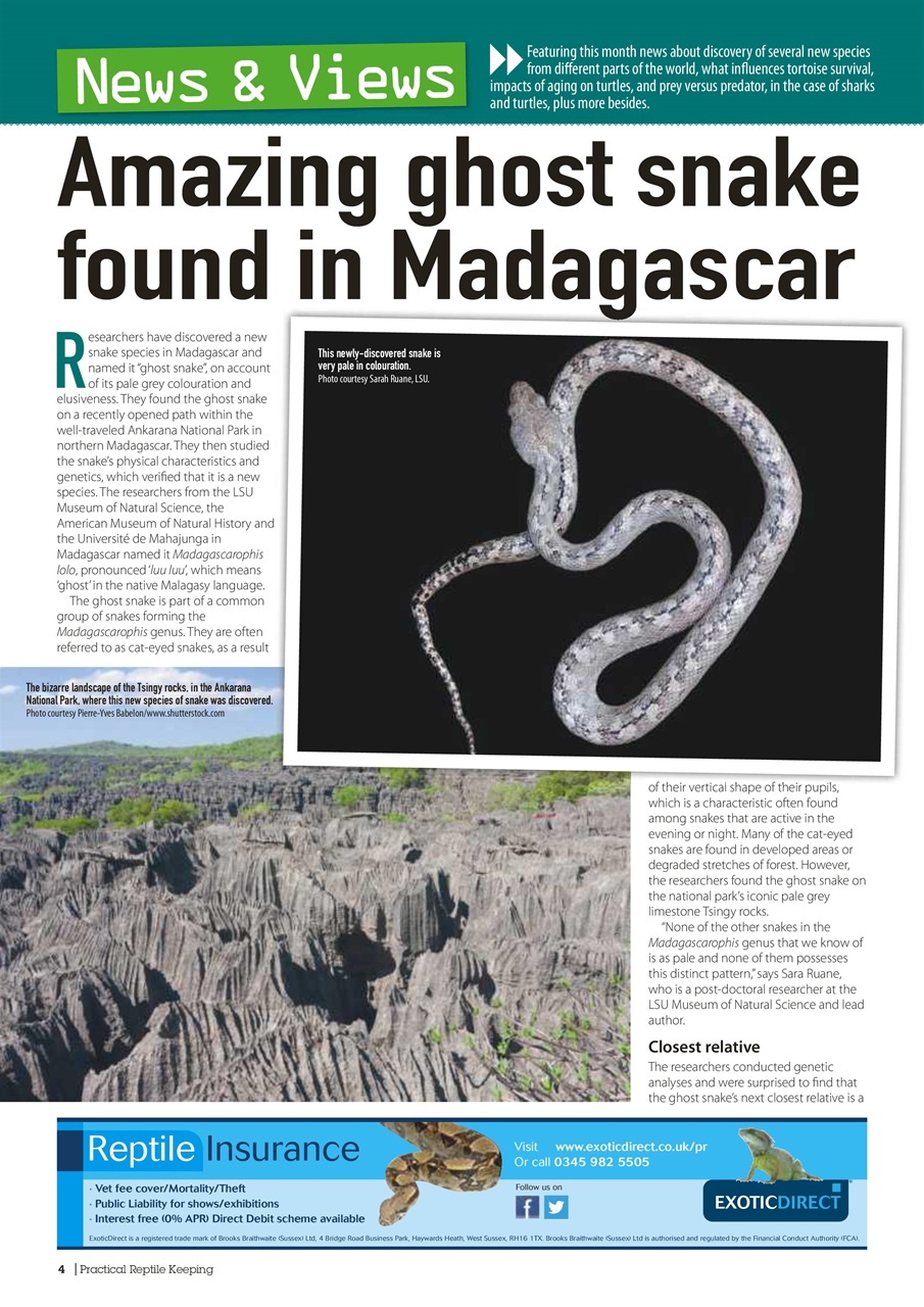 Practical Reptile Keeping Preview Pages