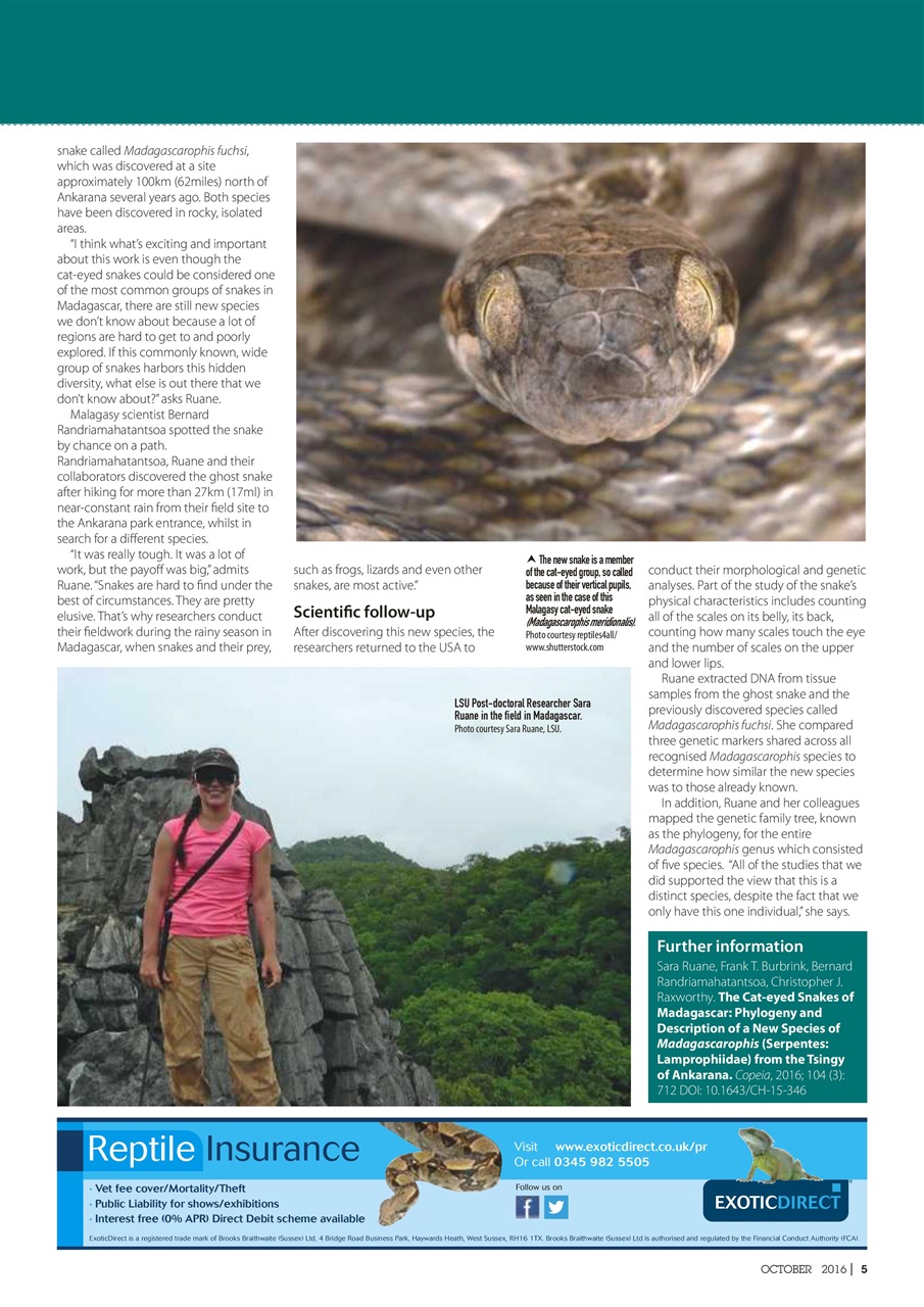 Practical Reptile Keeping Preview Pages