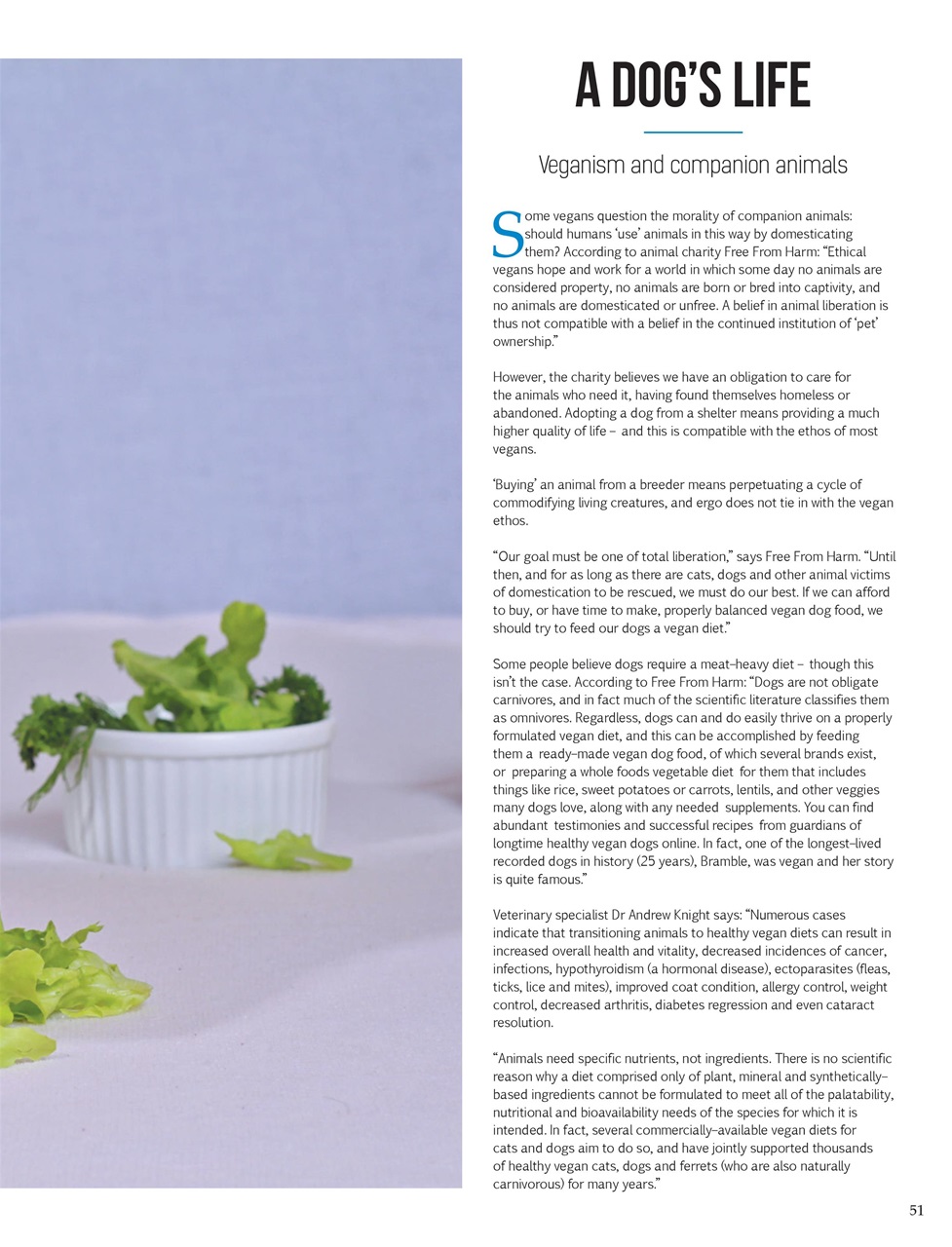 Vegan Life Preview Pages
