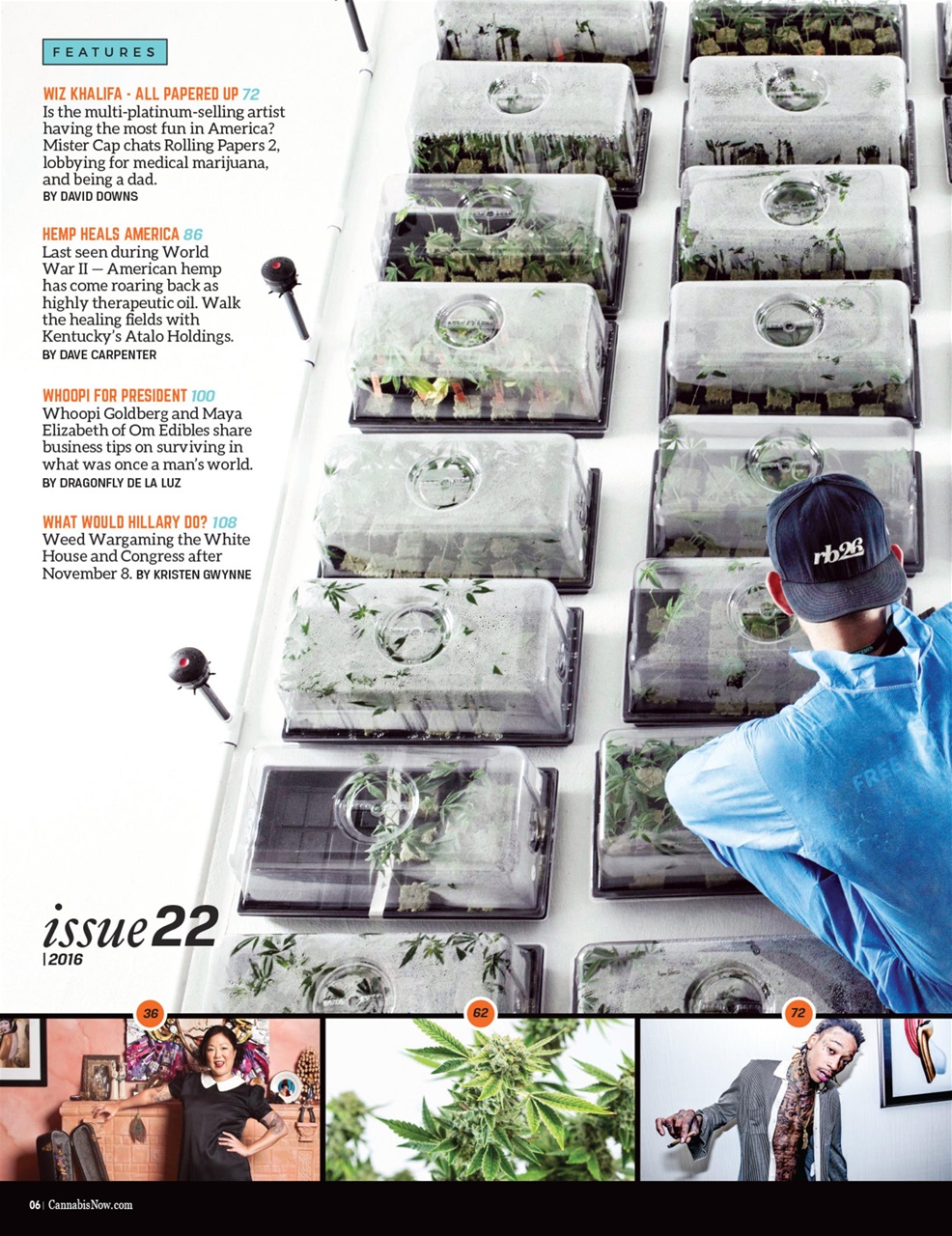 Cannabis Now Preview Pages