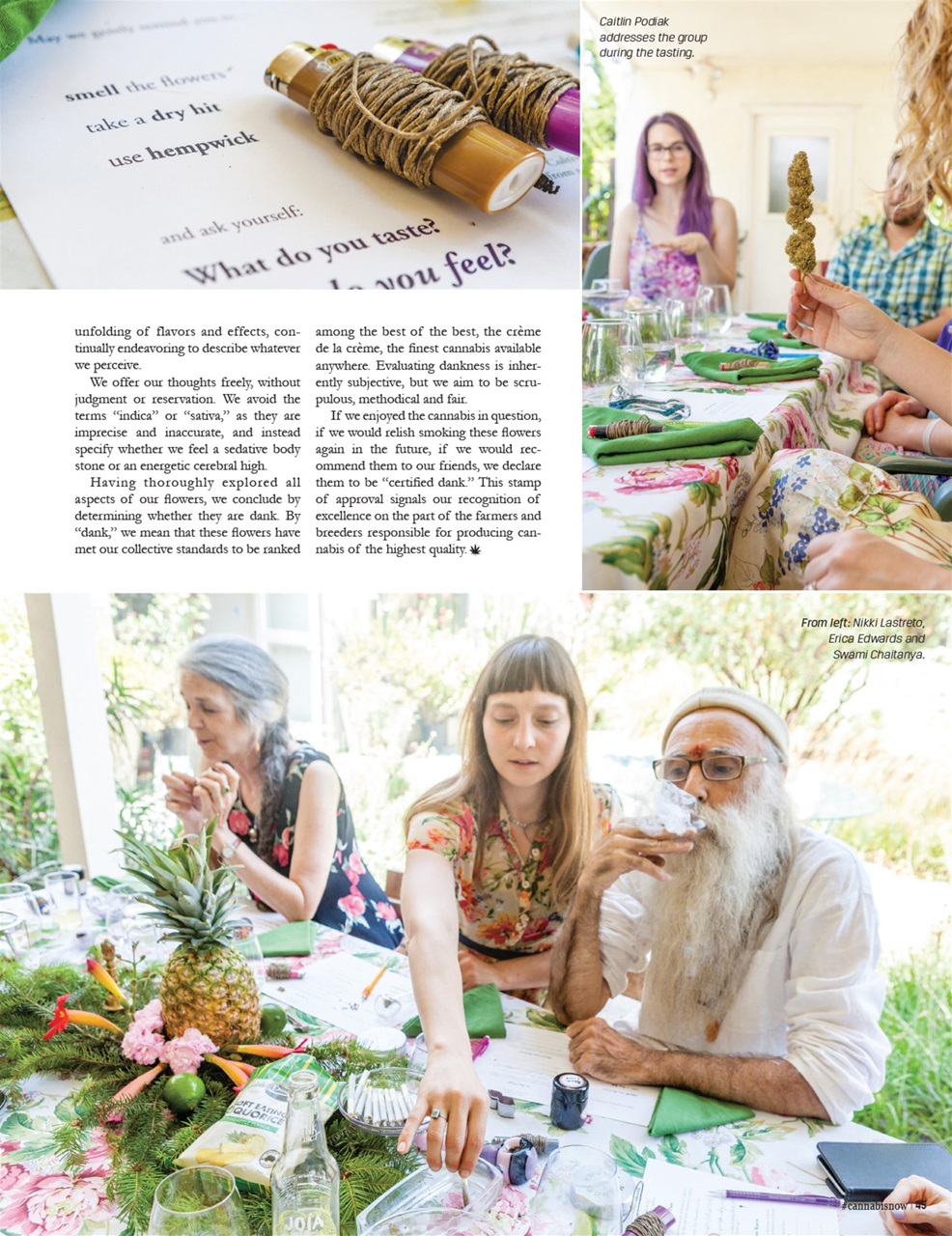 Cannabis Now Preview Pages