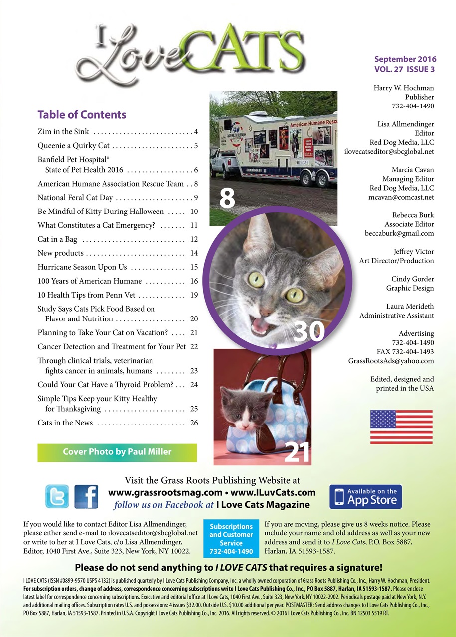 I Love Cats Preview Pages