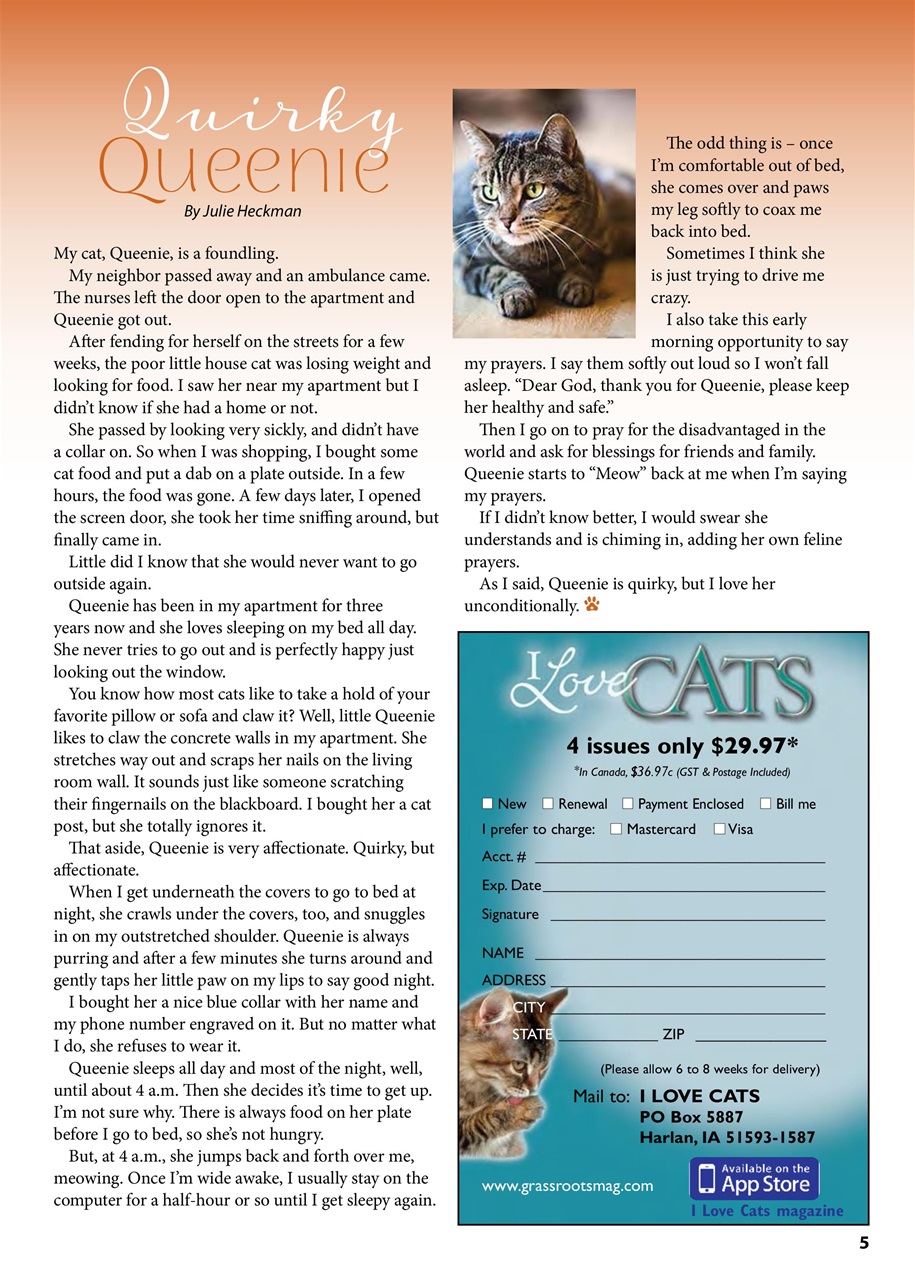 I Love Cats Preview Pages