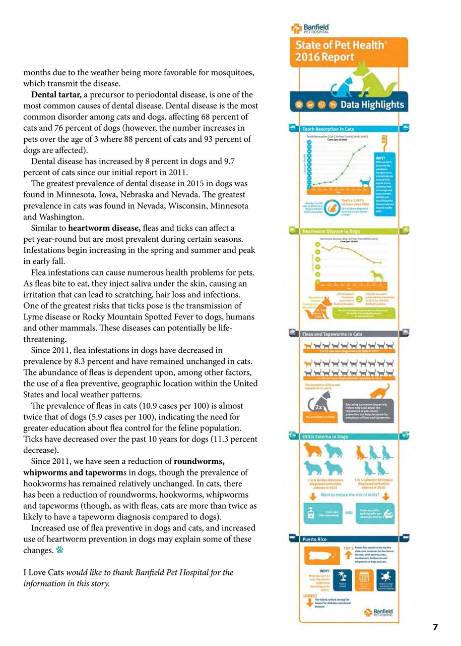 I Love Cats Preview Pages