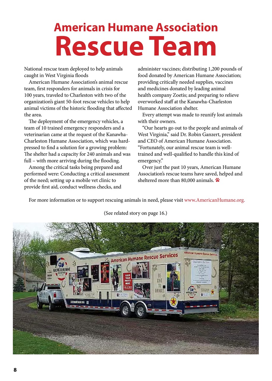 I Love Cats Preview Pages