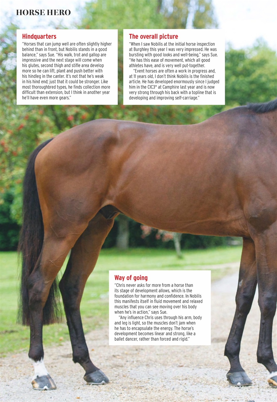 Horse & Hound Preview Pages