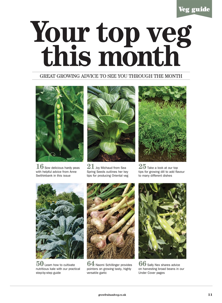Grow Your Own Preview Pages