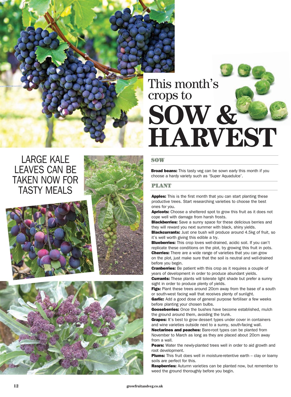 Grow Your Own Preview Pages