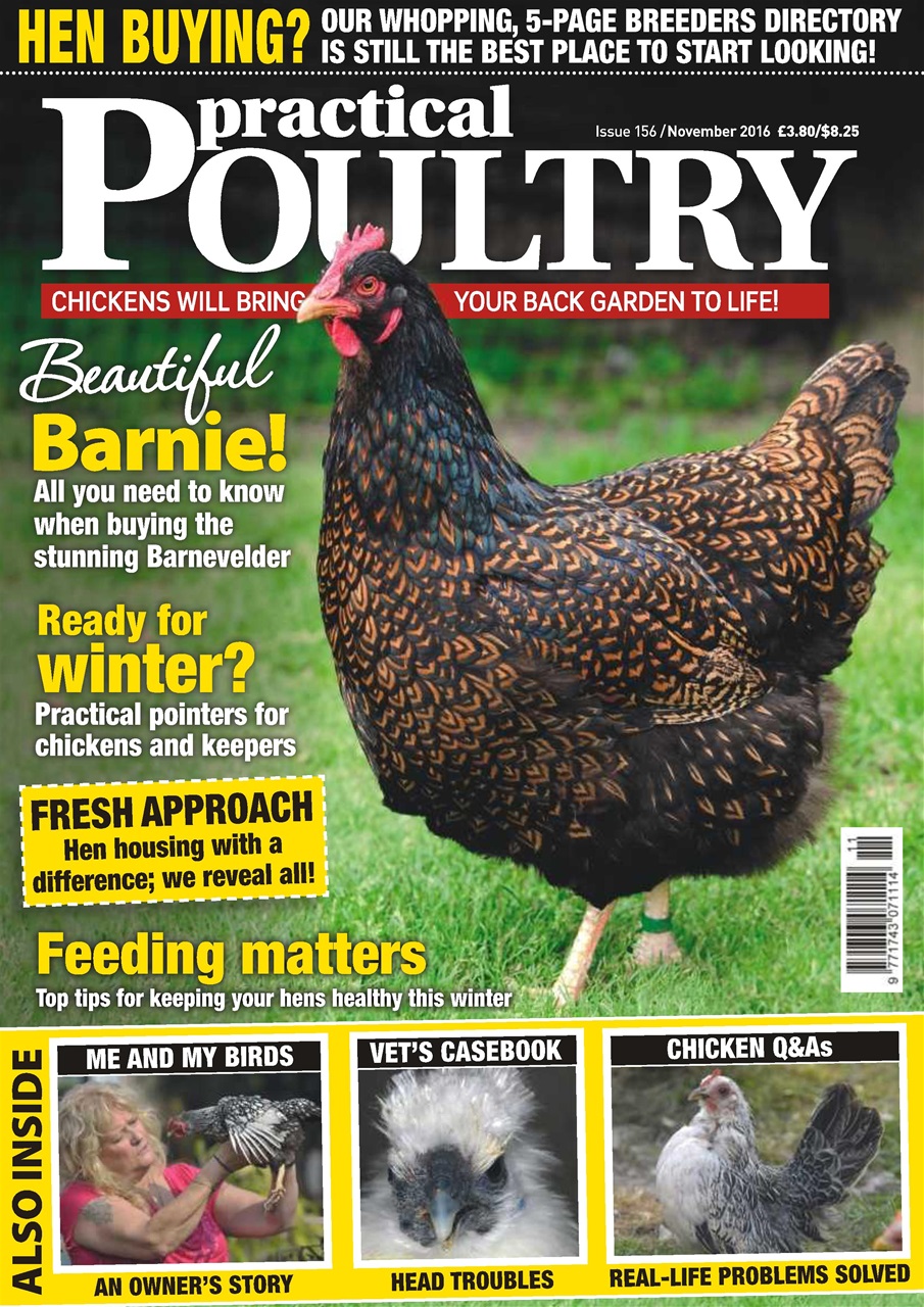 Practical Poultry Preview Pages