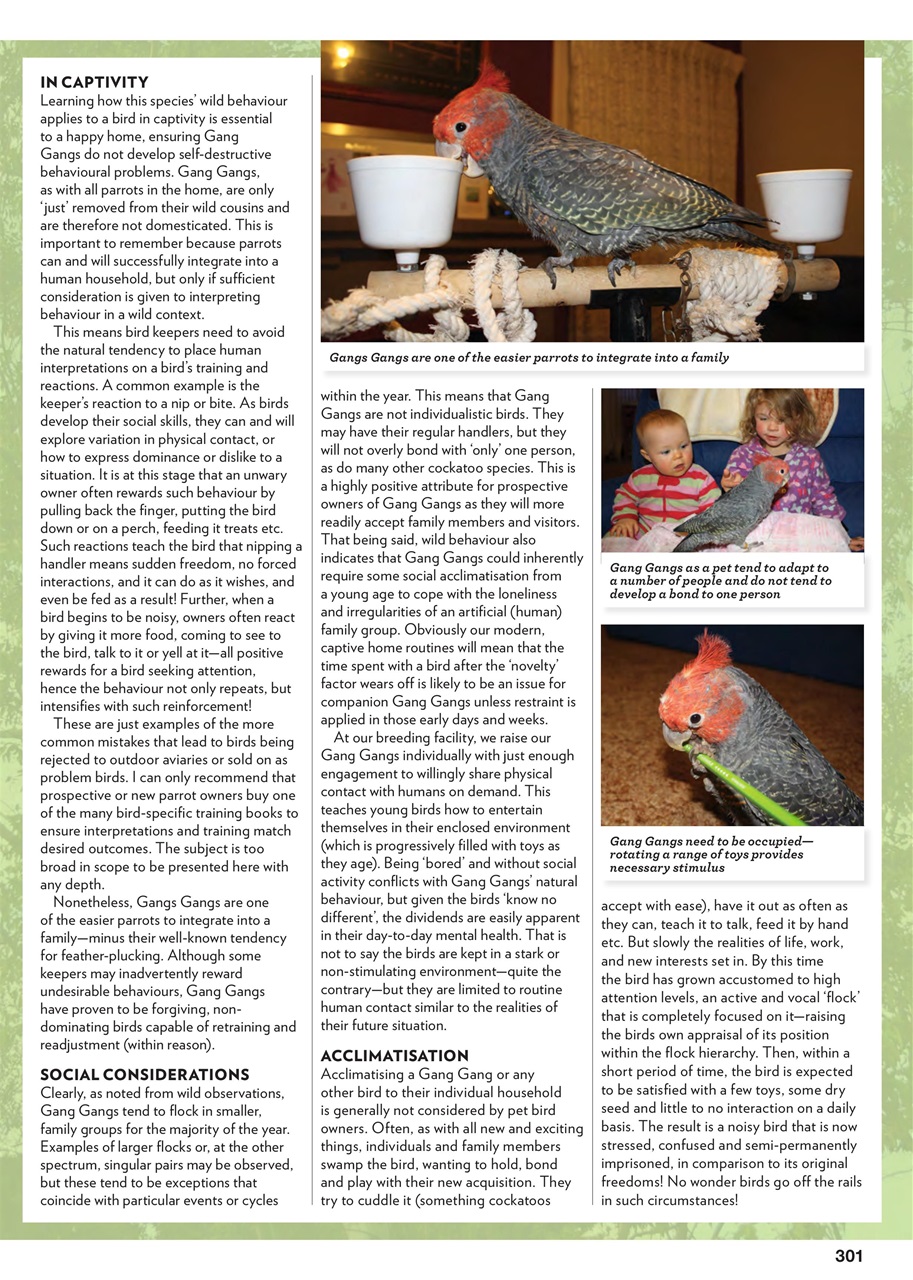 Australian Birdkeeper Magazine Preview Pages