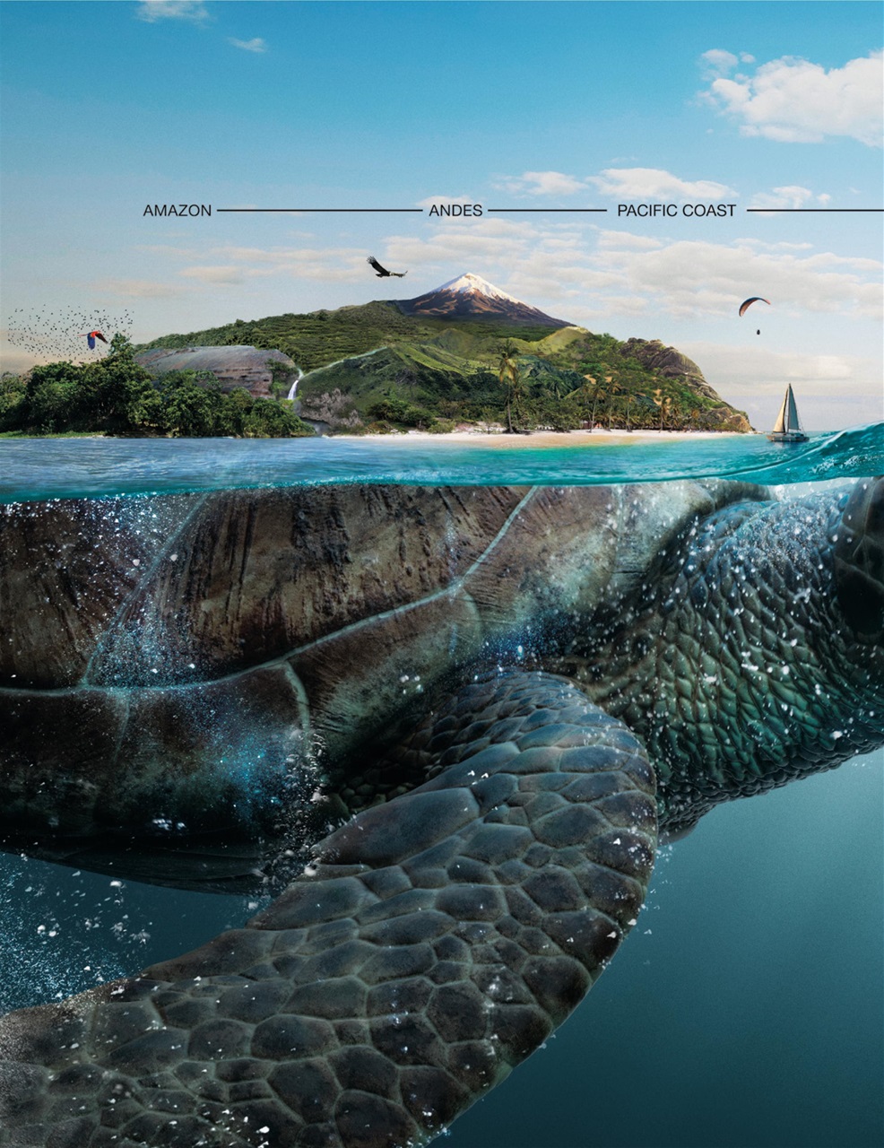 Taste & Travel International Preview Pages