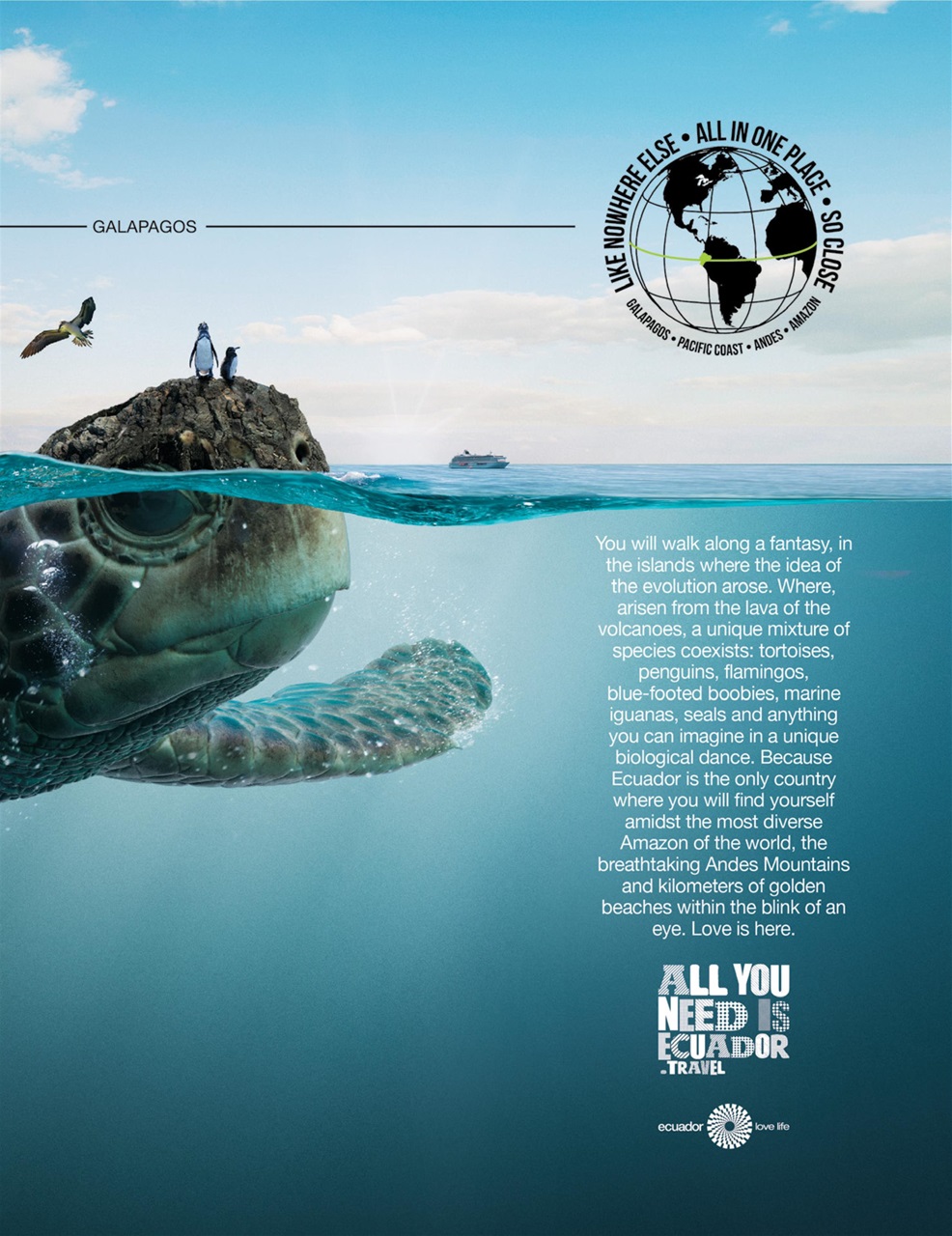Taste & Travel International Preview Pages