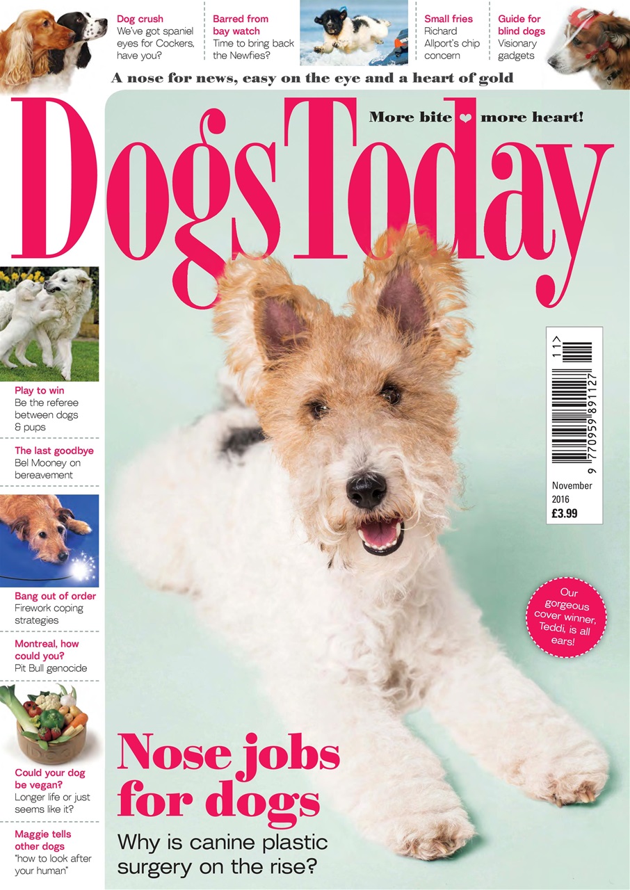 Dogs Today Magazine Preview Pages