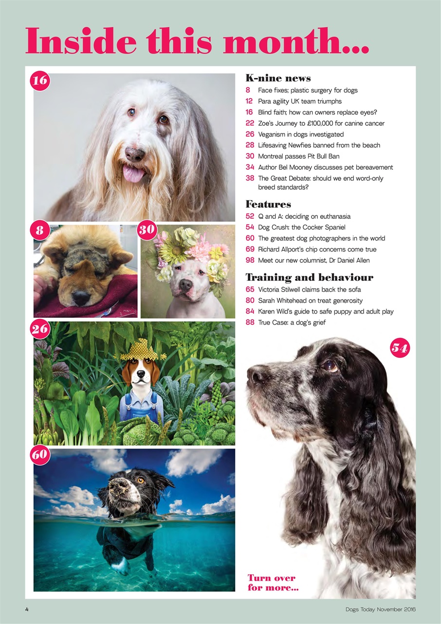 Dogs Today Magazine Preview Pages