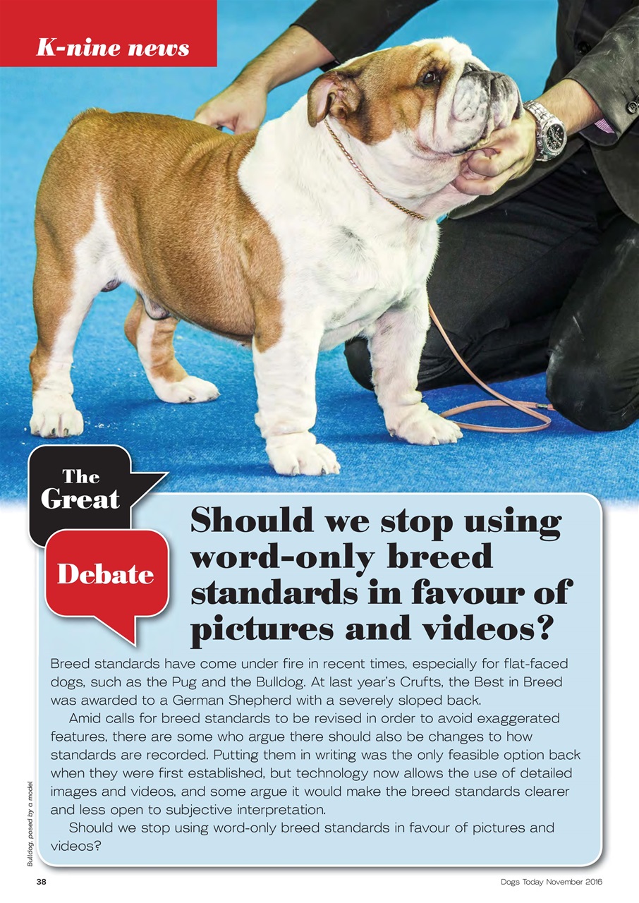 Dogs Today Magazine Preview Pages