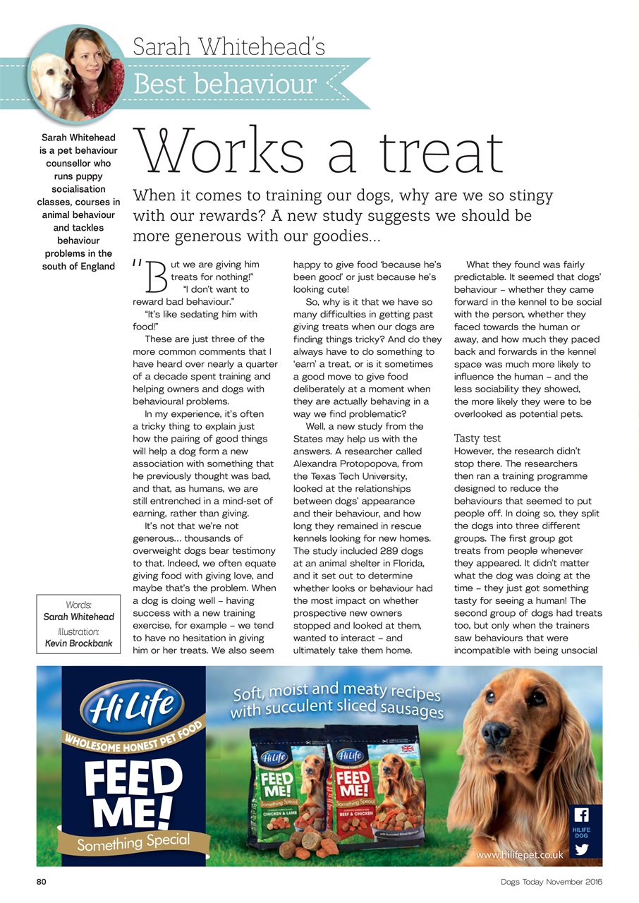 Dogs Today Magazine Preview Pages