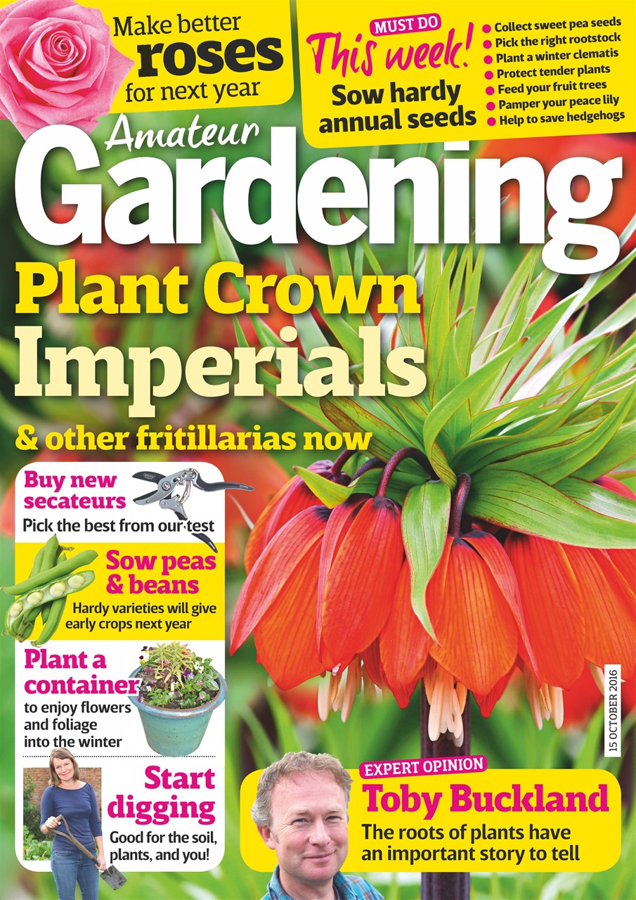 Amateur Gardening Preview Pages