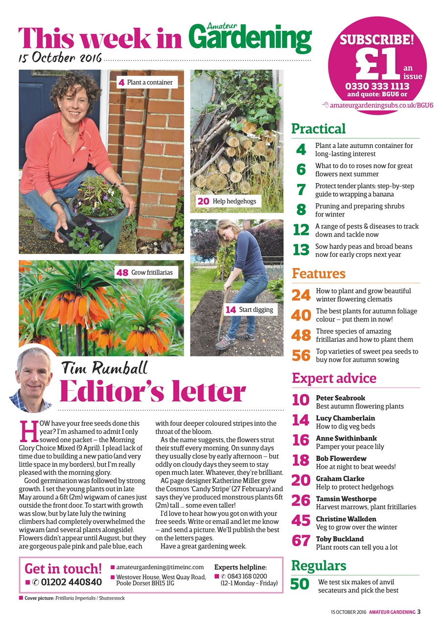 Amateur Gardening Preview Pages