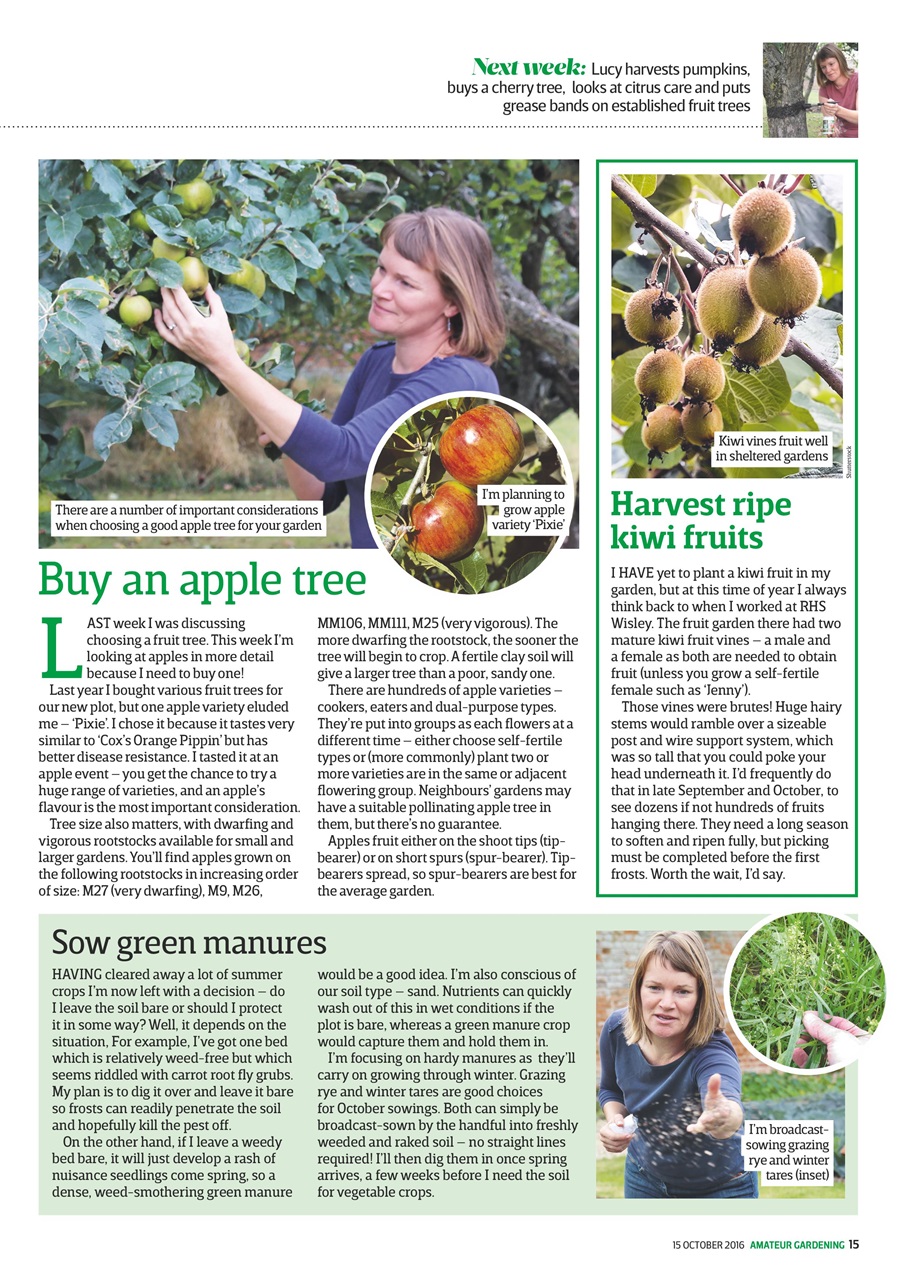 Amateur Gardening Preview Pages