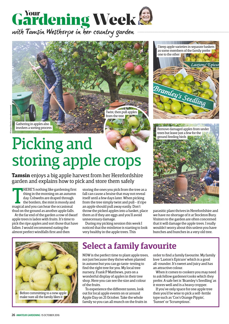 Amateur Gardening Preview Pages