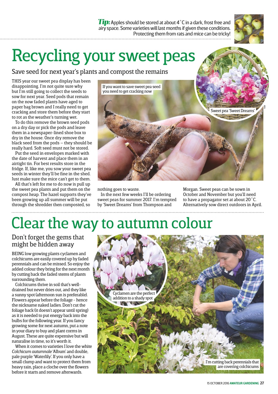 Amateur Gardening Preview Pages
