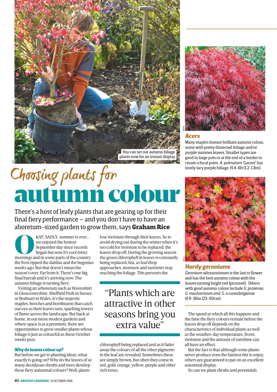 Amateur Gardening Preview Pages