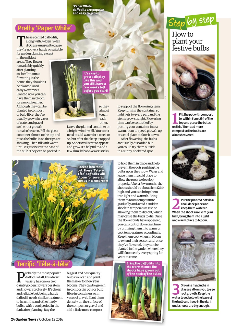 Garden News Preview Pages