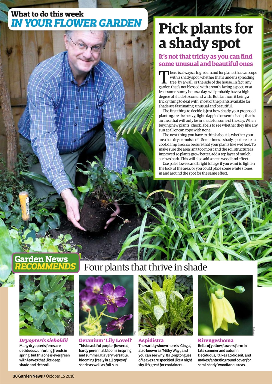 Garden News Preview Pages