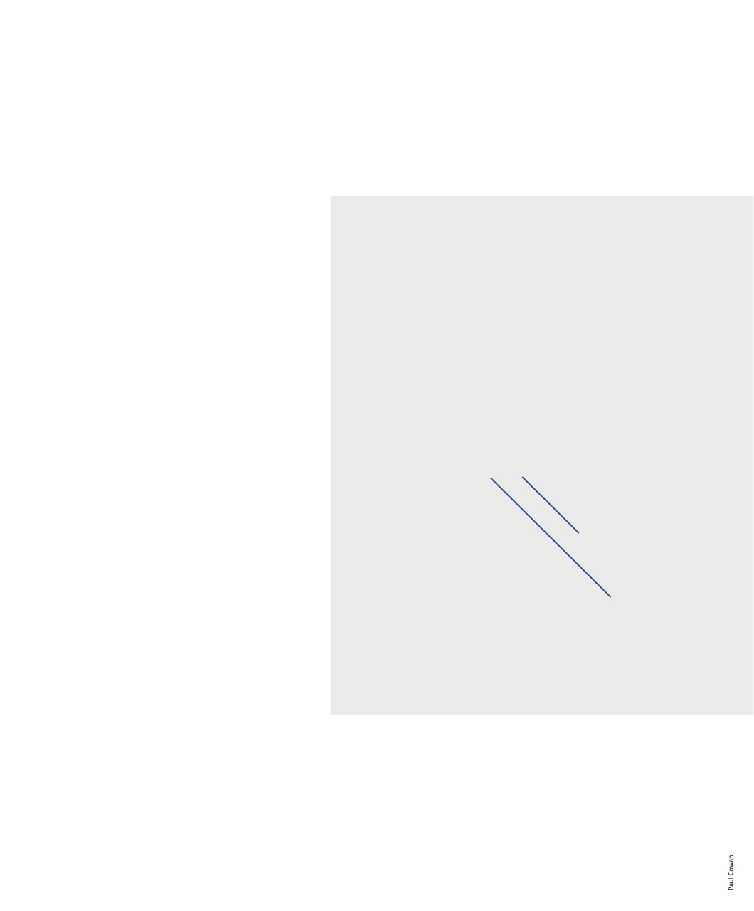 Adbusters Preview Pages